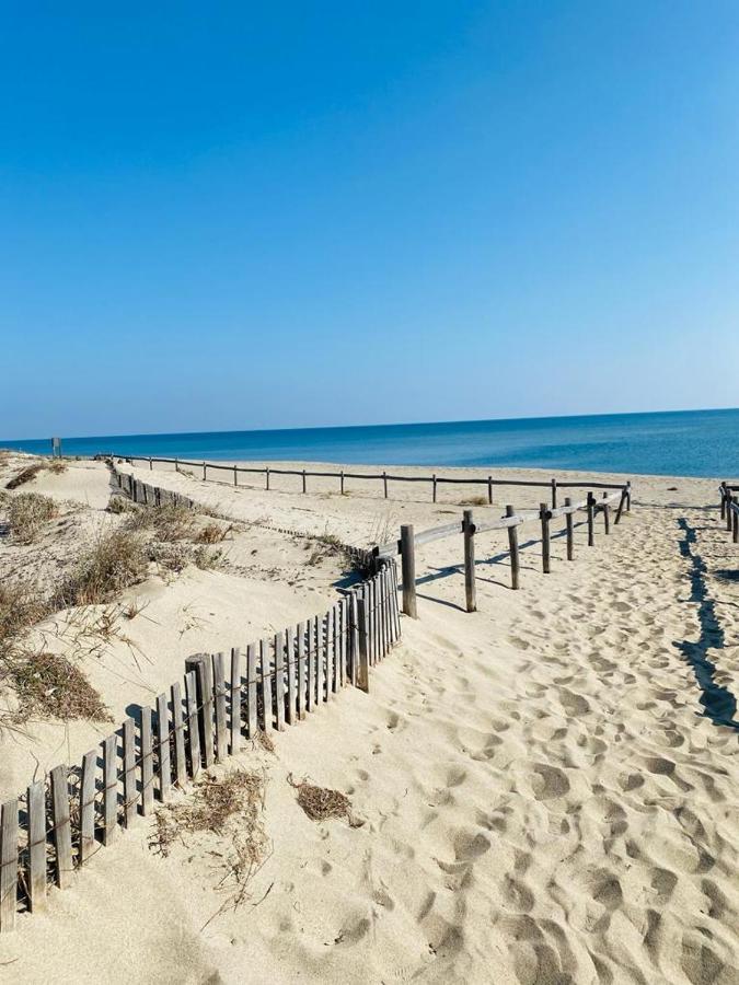 Appartement vue mer, direct plage, front de mer Le Barcarès Extérieur photo